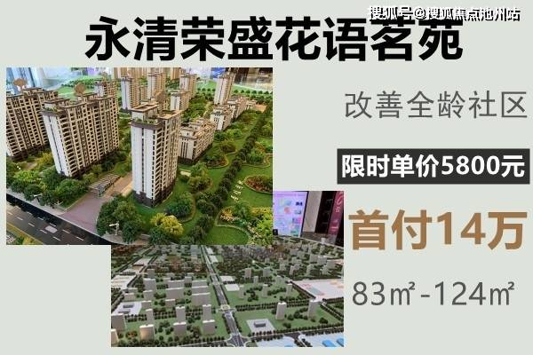 河北尚村獭兔市场最新行情：价格动态解析