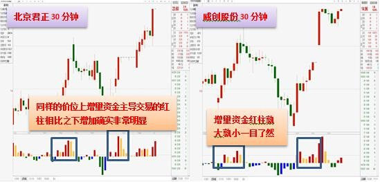 揭秘生命富泰赢家基金：最新净值一览，财富增长轨迹同步呈现