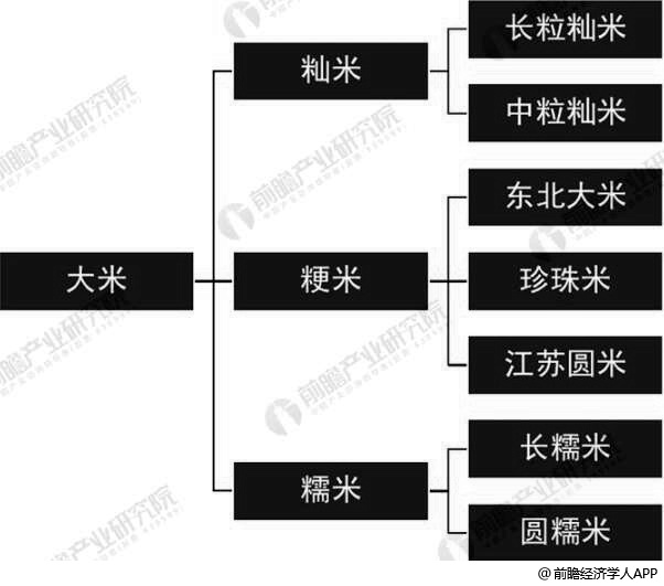 稻米市场最新动态解析