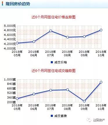 2025年2月4日 第14页