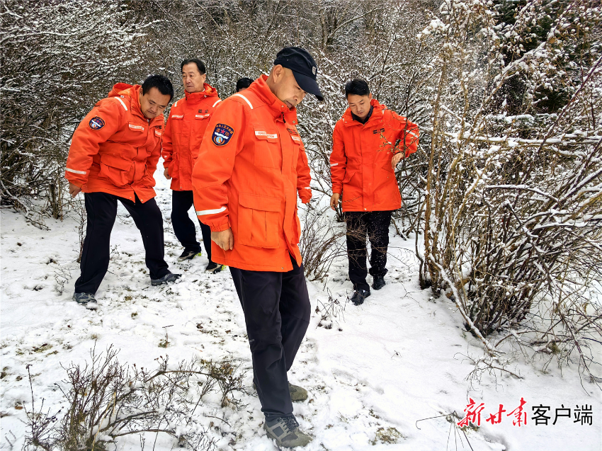 甘肃林业厅近期热点事件盘点